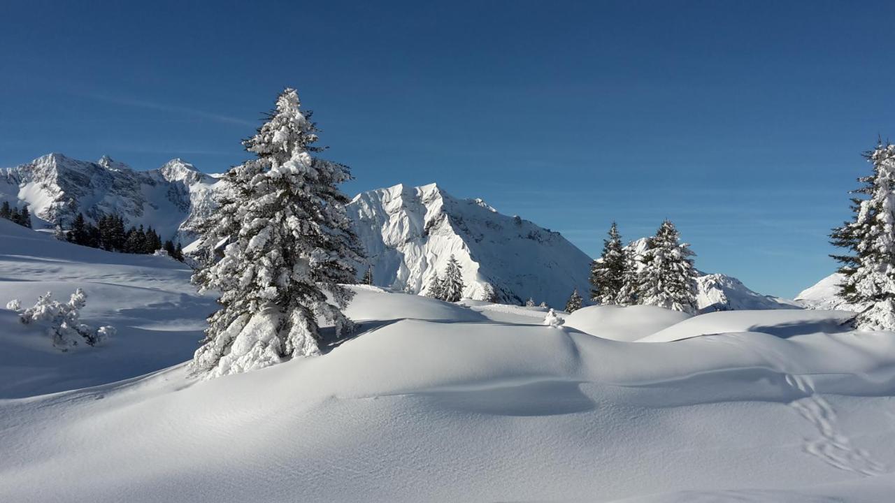 Landhaus Marion Holzgau Exteriör bild